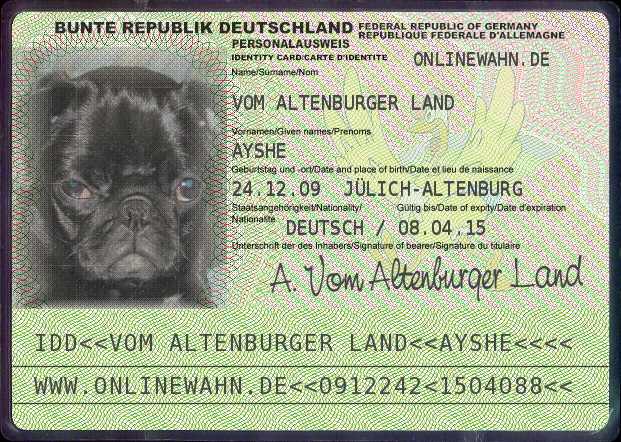 Zu den Bildern von Ayshe