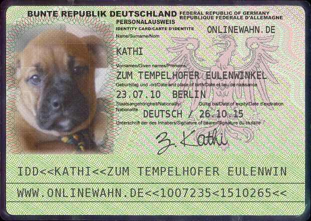 Zu den Bildern von Kathi