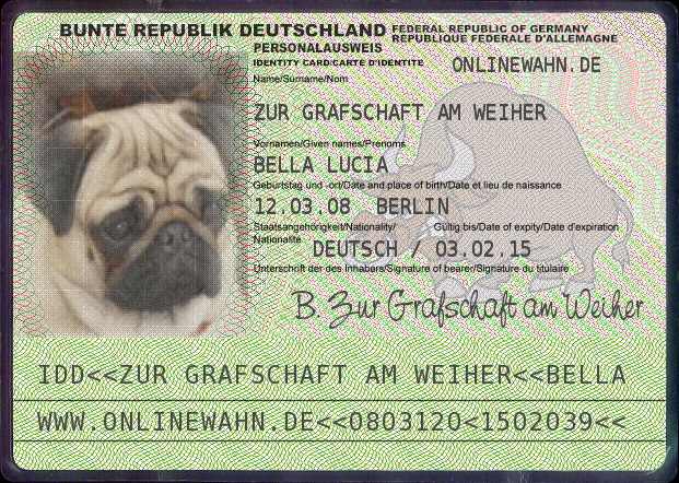 Zu den Bildern von Luzie